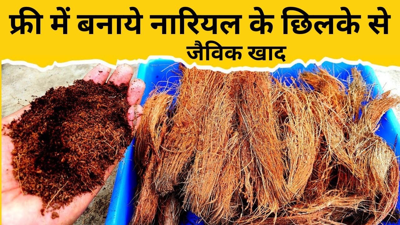 फ्री में बनेगी नारियल के छिलके से जैविक खाद, यहाँ जानिये सरल और सही तरीका, पौधों के लिए है अमृत