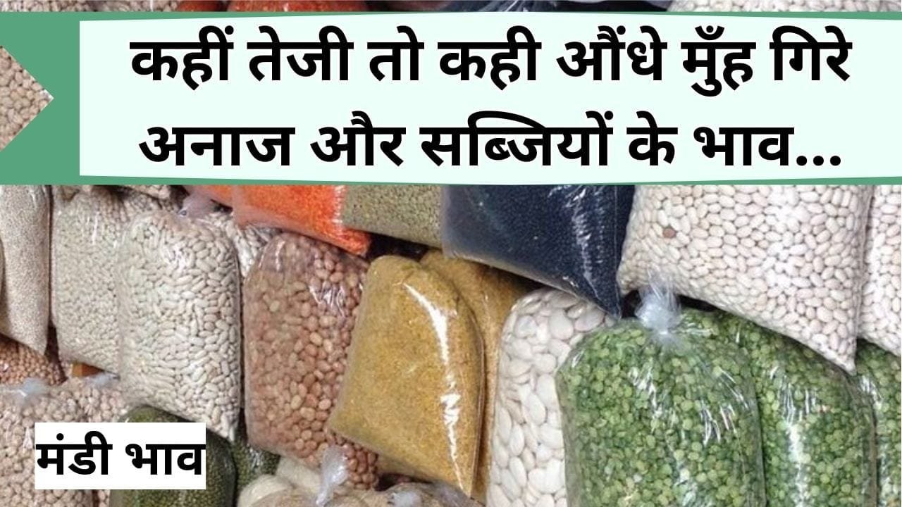 Mandi Bhav: डॉलर चना 100 रु सस्ता, तुअर 300 रु से महंगा, चना कांटा और मूंग के बदले भाव, जानिये कीमत में हुआ कितना बदलाव