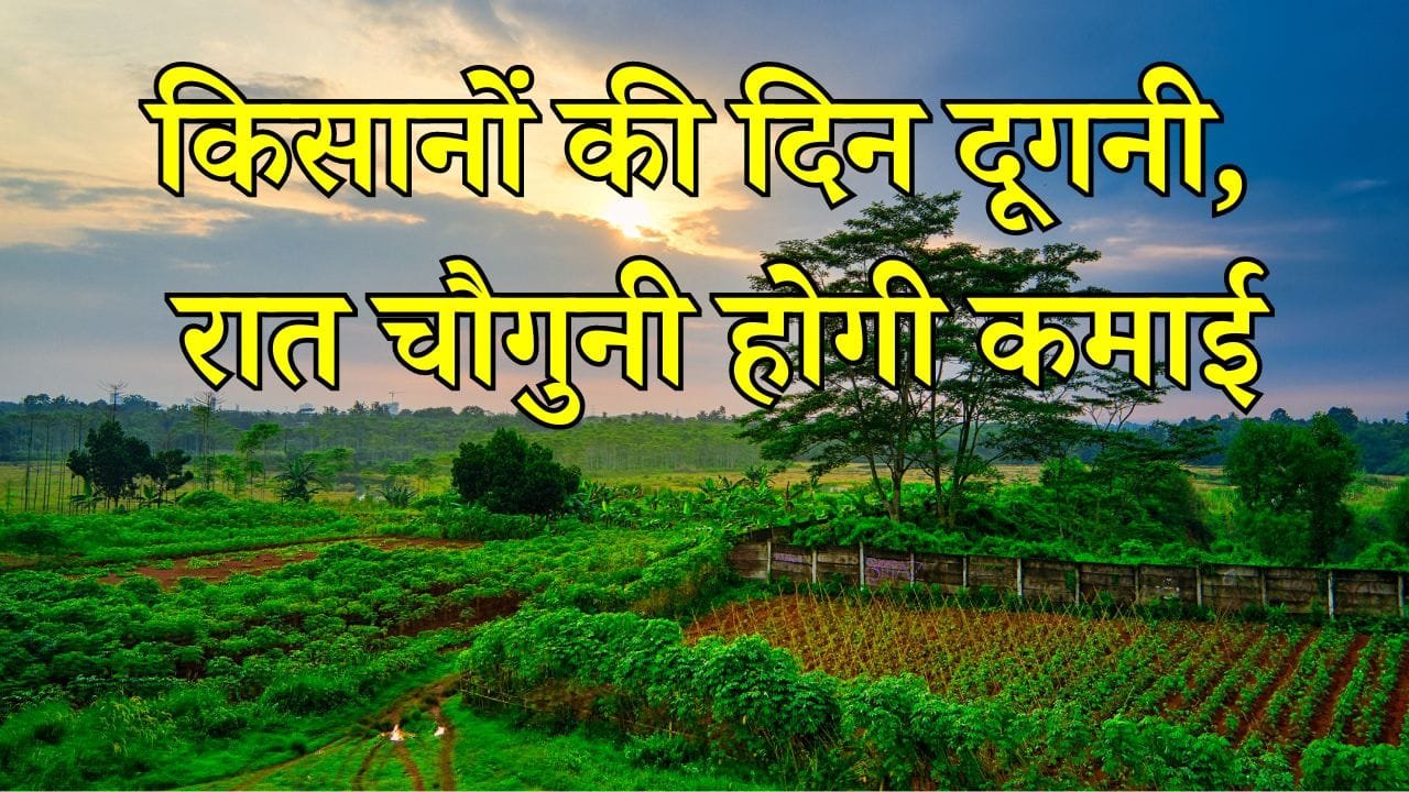 किसानों की दिन दूगनी, रात चौगुनी होगी कमाई, गर्मियों में इन 5 फसलों की करें खेती, चमक जायेगी किस्मत