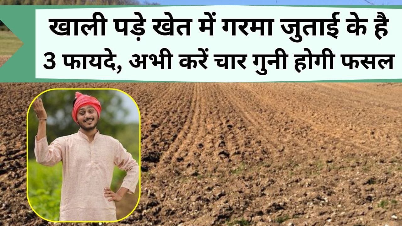 खाली पड़े खेत में गरमा जुताई के है 3 फायदे, अभी करें तो अगली फसल की चार गुनी होगी पैदावार, जानिये क्या है गरमा जुताई