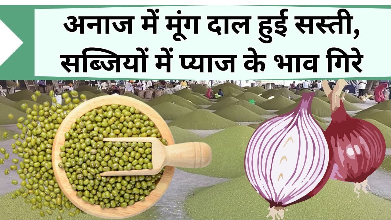 Mandi Bhav: अनाज में मूंग दाल हुई सस्ती, सब्जियों में प्याज के भाव गिरे, चलिए जानें आज के इंदौर के ताजा मंडी भाव