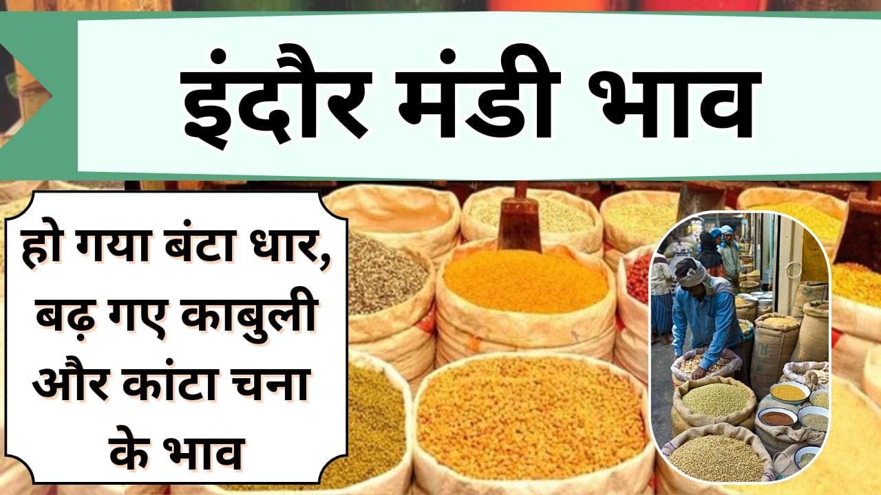 हो गया बंटा धार, बढ़ गए काबुली और कांटा चना के भाव, जानिये आज के अनाज और सब्जियों के ताजा Mandi Bhav