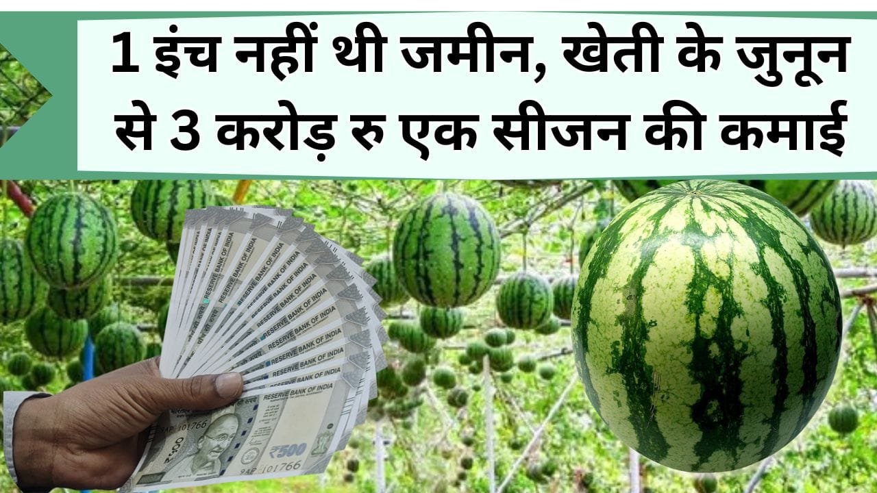 1 इंच नहीं थी जमीन, खेती के जुनून से 3 करोड़ रु एक सीजन में कमा रहे, जानिये खरबूजे की खेती में सफल किसान की कहानी