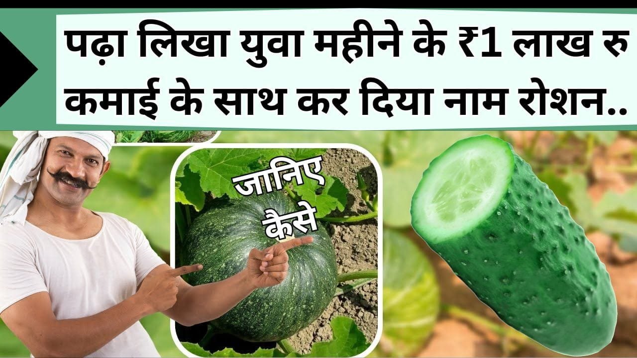 पढ़े लिखे युवा ने किया खेती का फैसला, महीने के ₹1 लाख रु कमाई के साथ हुआ नाम रोशन, जानिये किस खेती से मिली सफलता