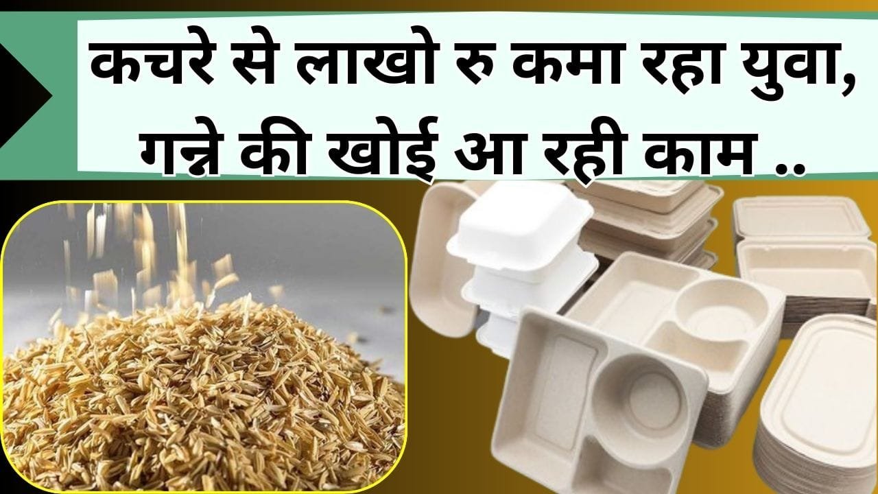 कचरे से लाखो रु कमा रहा युवा, गन्ने की खोई आ रही काम, जानिये कैसे फलों के कचरे से शुरू किया खुद का करोबार