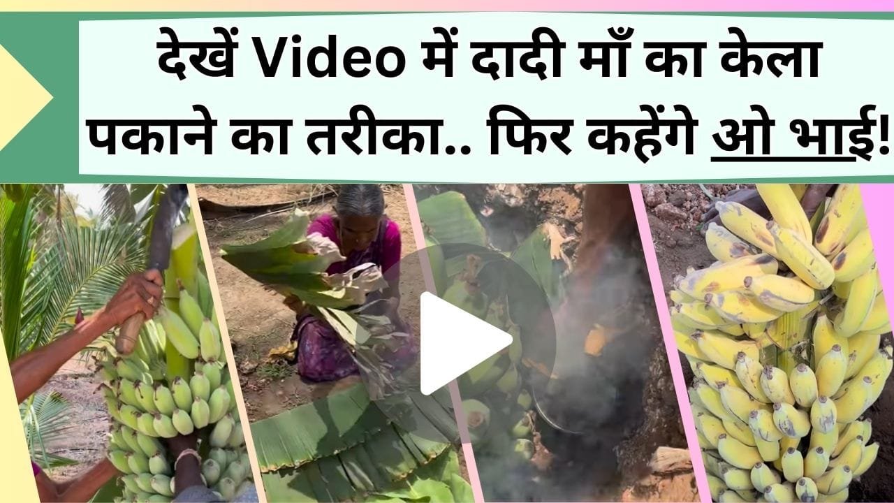 ओ भाई! बिना केमिकल के 2 दिन में पक जाएगा हरा केला, Video में देखें दादी मां का केला पकाने का देसी तरीका