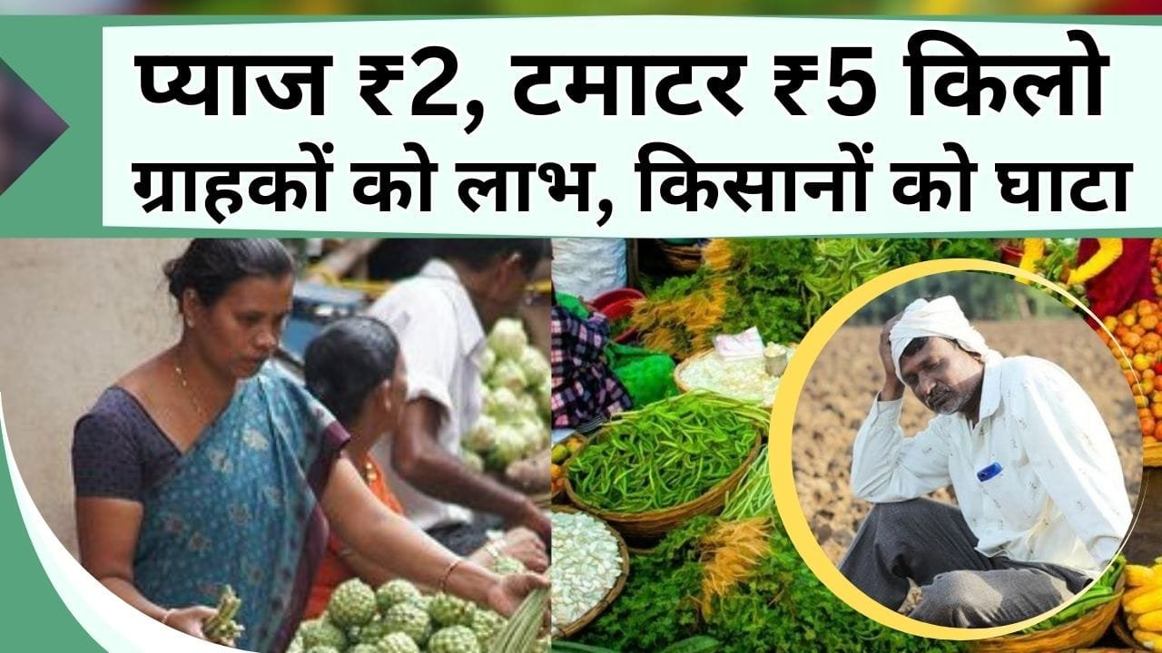 प्याज ₹2, टमाटर ₹5 किलो के साथ अन्य सब्जियों के गिरे भाव, ग्राहकों को लाभ, किसानों को घाटा, जाने सब्जियों की हालत