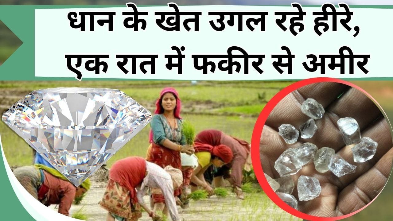 धान के खेत उगल रहे हीरे, एक रात में फकीर से अमीर बन गए किसान, जानिये कैसे किसानों को मिला कुबेर का खजाना