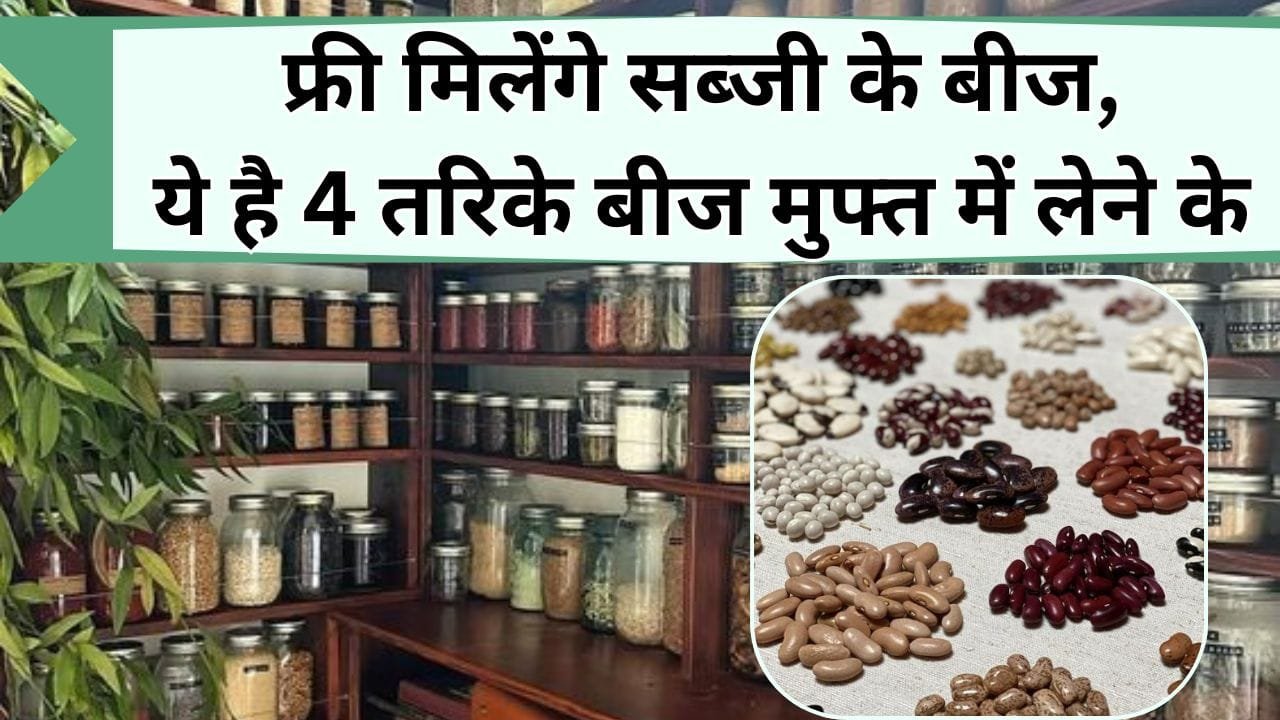 फ्री मिलेंगे सब्जी के बीज, ये है 4 तरिके, देशी-विदेशी सभी तरह के फ्री के बीज लेकर करें खेती, जानिये मुफ्त में बीज प्राप्त करने के तरीके
