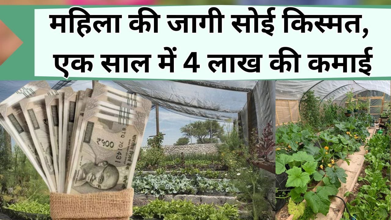 महिला की जागी सोई किस्मत, ऐसे लगाई नर्सरी, एक साल में 4 लाख की कमाई, जानिये कैसे