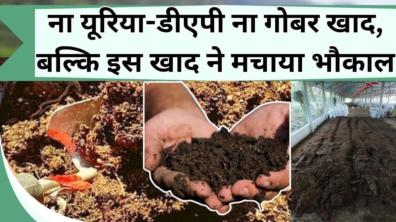 ना यूरिया-डीएपी ना गोबर खाद बल्कि इस खाद ने मचाया भौकाल, सब्जी-फल के लिए बनी संजीवनी, जानें इस खाद का नाम और कीमत
