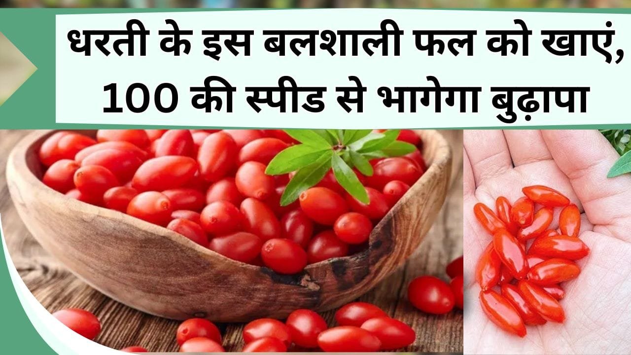 धरती के इस बलशाली फल को खाएं, 100 की स्पीड से भागेगा बुढ़ापा, खेती करके महीने के 50 हजार रु कमाएं