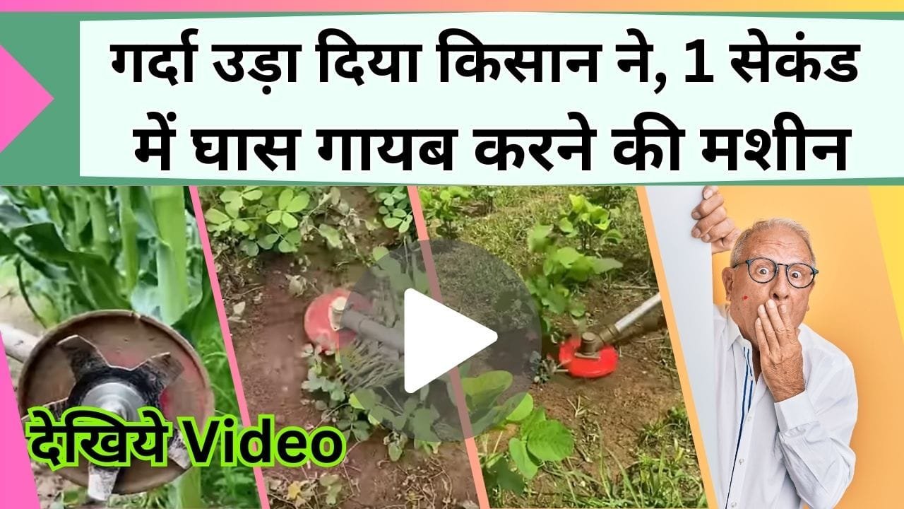 गर्दा उड़ा दिया किसान के जुगाड़ ने, 1 सेकंड में घास गायब कर देगी ये मशीन, खड़े-खड़े घास गायब करने का Video वायरल देखें आप अभी