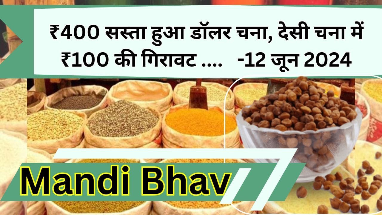 Mandi Bhav: ₹400 सस्ता हुआ डॉलर चना, देसी चना में ₹100 की गिरावट, मूंग दाल के ₹300 से बढे दाम, जानिए 12 जून 2024 के ताजा मंडी भाव
