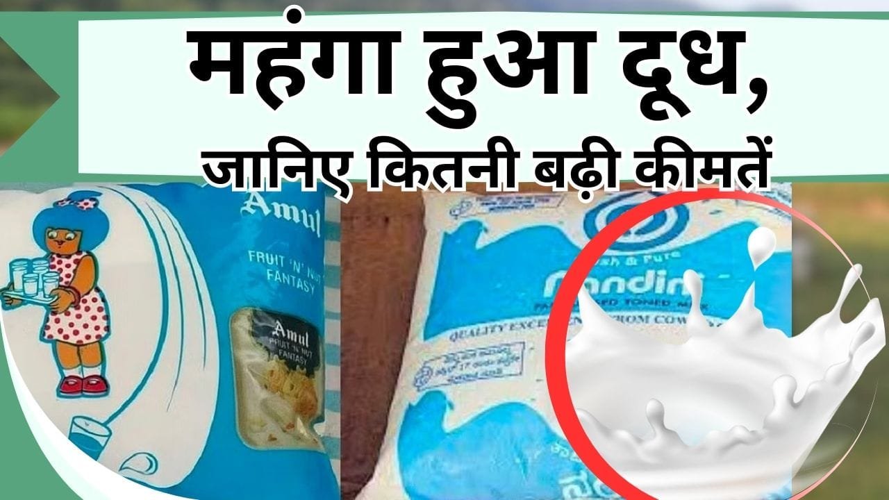 Milk prices: अरे कम करो दूध का इस्तेमाल, फिर इतने रु से बढ़ी कीमत, जानिये किस राज्य के लोगो को मिलेगा महंगा दूध