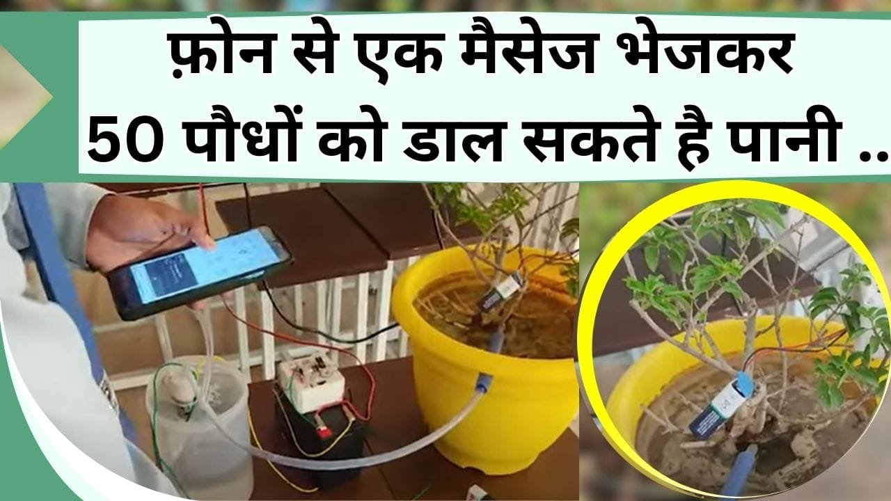 घर में रहे चाहे नहीं, फ़ोन से एक मैसेज भेजकर 50 पौधों को डाल सकते है पानी, जानिये कितने की मिलेगी ये डिवाइस