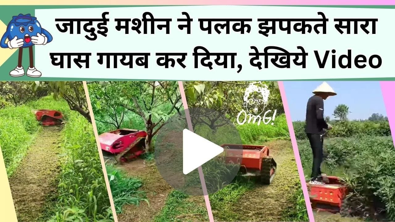 जादुई मशीन को घास काटते देख फटा रहेगा मुँह, पलक झपकते सारा घास साफ, बैठे-बैठे होगा काम, देखिये Video में जलवा