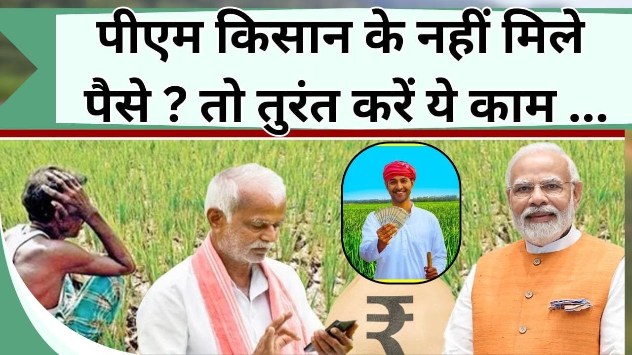 पीएम किसान के नहीं मिले पैसे ? तो तुरंत करें ये काम, जानिये पैसा ना मिलने का कारण और उपाय