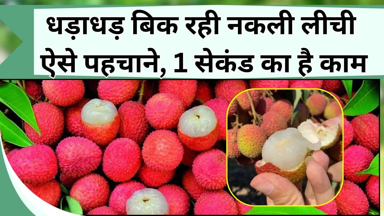 धड़ाधड़ बिक रही नकली लीची ऐसे पहचाने, 1 सेकंड का है काम, घर में रखी चीज से हो जाएगा टेस्ट