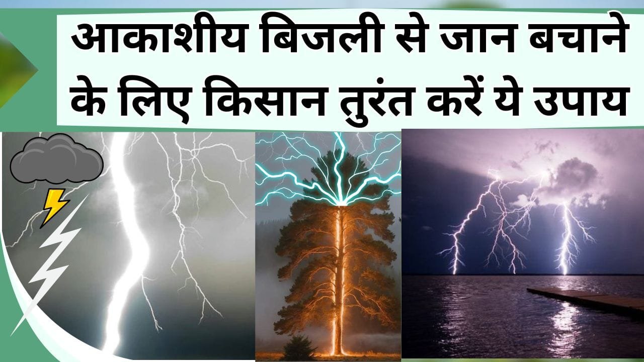 आकाशीय बिजली के कारण कई लोगो ने छोड़ी दुनिया, बचने के लिए तुरंत करें ये काम, जान लें आकाशीय बिजली से कैसे बचा जाता है