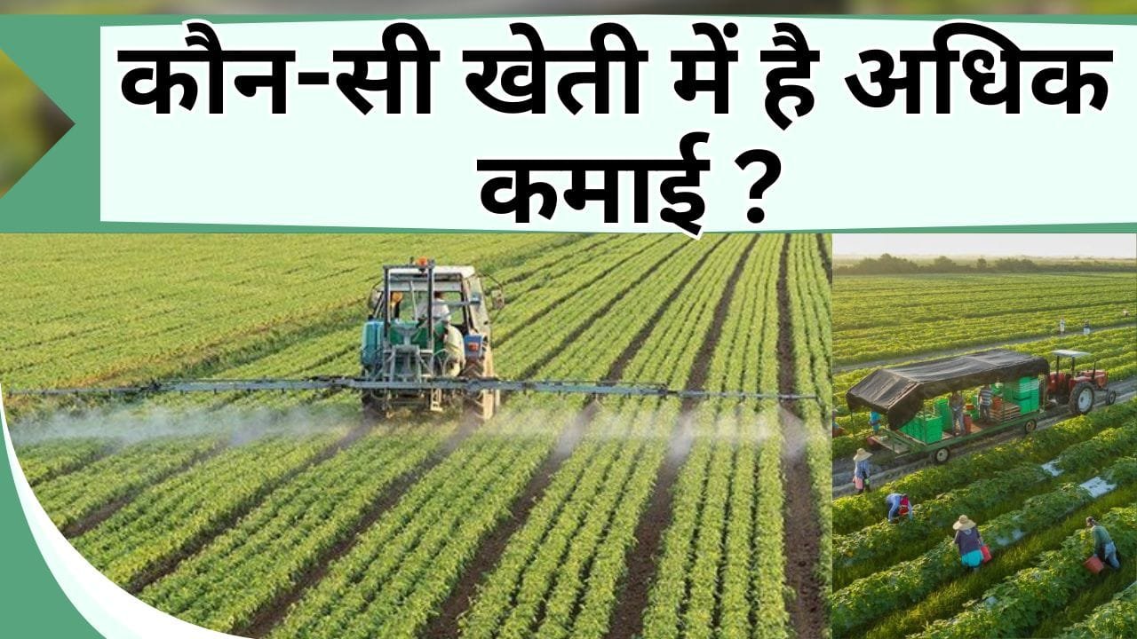 कौन-सी खेती में है अधिक कमाई ? जानिये एक से बढ़कर है एक 4 तरह की खेती