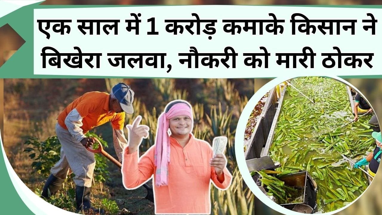 एक साल में 1 करोड़ कमाके किसान ने बिखेरा जलवा, राजा बनने के लिए नौकरी को मारी ठोकर, जानिये कैसे खेती से हुई पैसो की बारिश