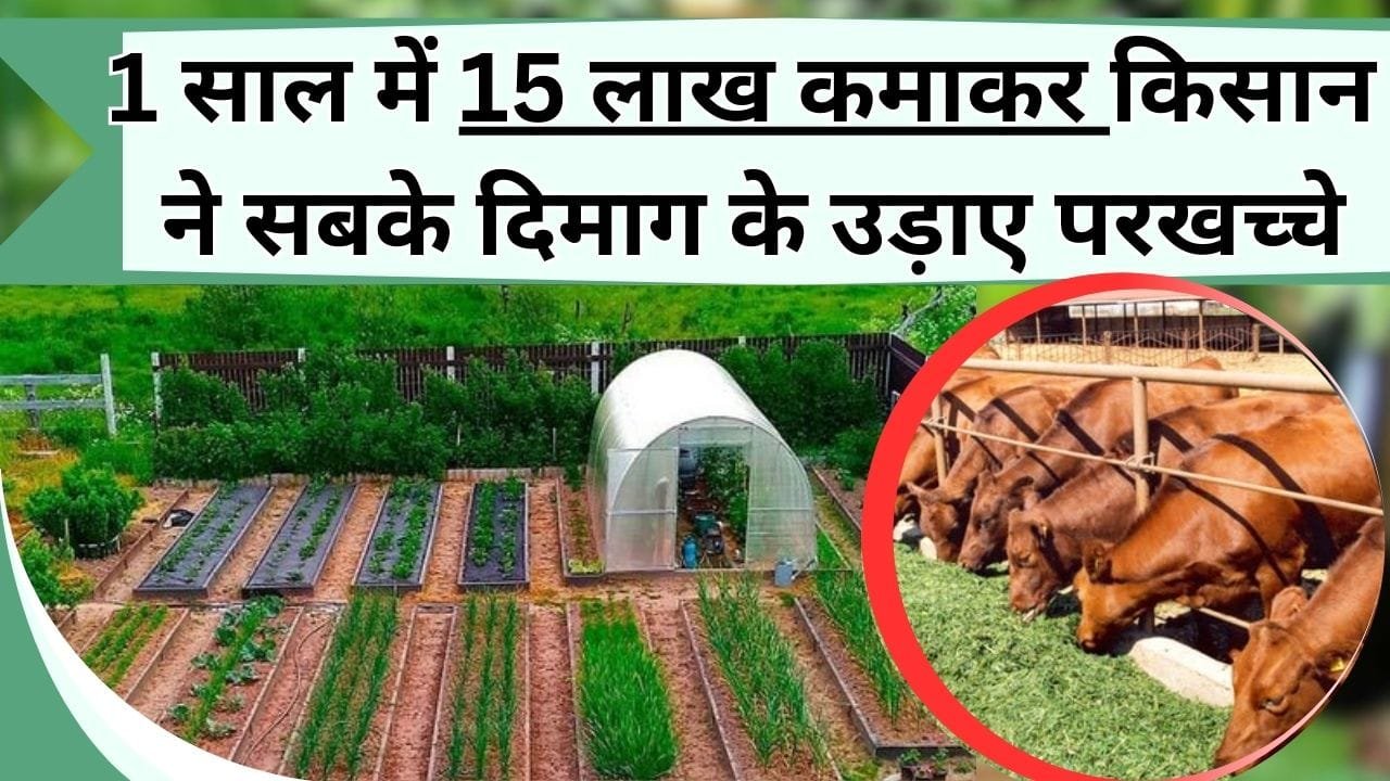 1 साल में 15 लाख कमाकर किसान ने सबके दिमाग के उड़ा दिए परखच्चे, जानिए कैसे करते है मिश्रित खेती