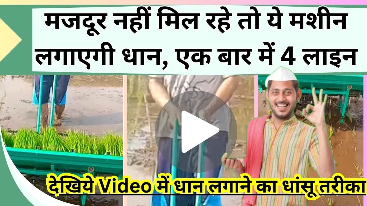 मजदूर नहीं मिल रहे तो ये मशीन लगाएगी धान, एक व्यक्ति एक साथ लगाएगा 4 लाइन, Video में देखें धान लगाने का अद्भुत तरीका