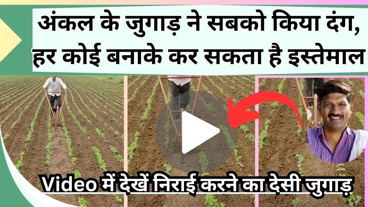 अंकल के जुगाड़ ने सबको किया दंग, Video में देखें निराई करने का देसी जुगाड़, हर कोई बनाके कर सकता है इस्तेमाल
