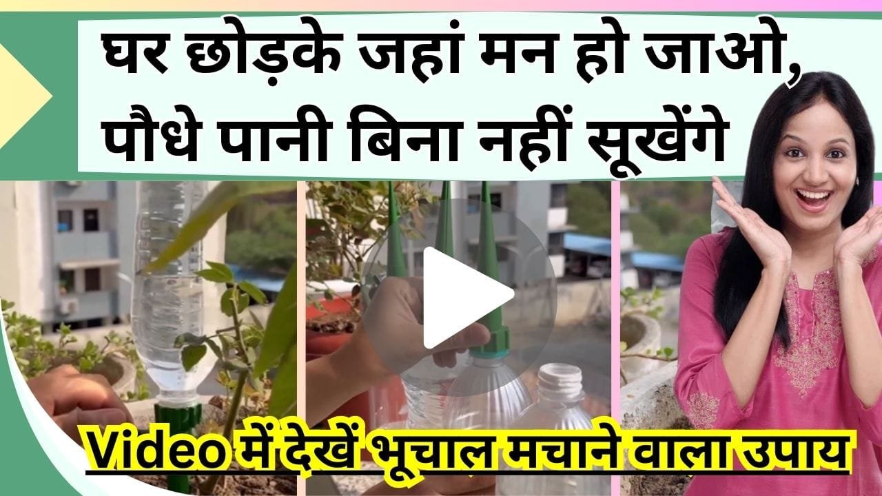 घर छोड़के जहां मन हो जाओ, पौधे पानी बिना नहीं सूखेंगे, Video में देखें भूचाल मचाने वाला उपाय