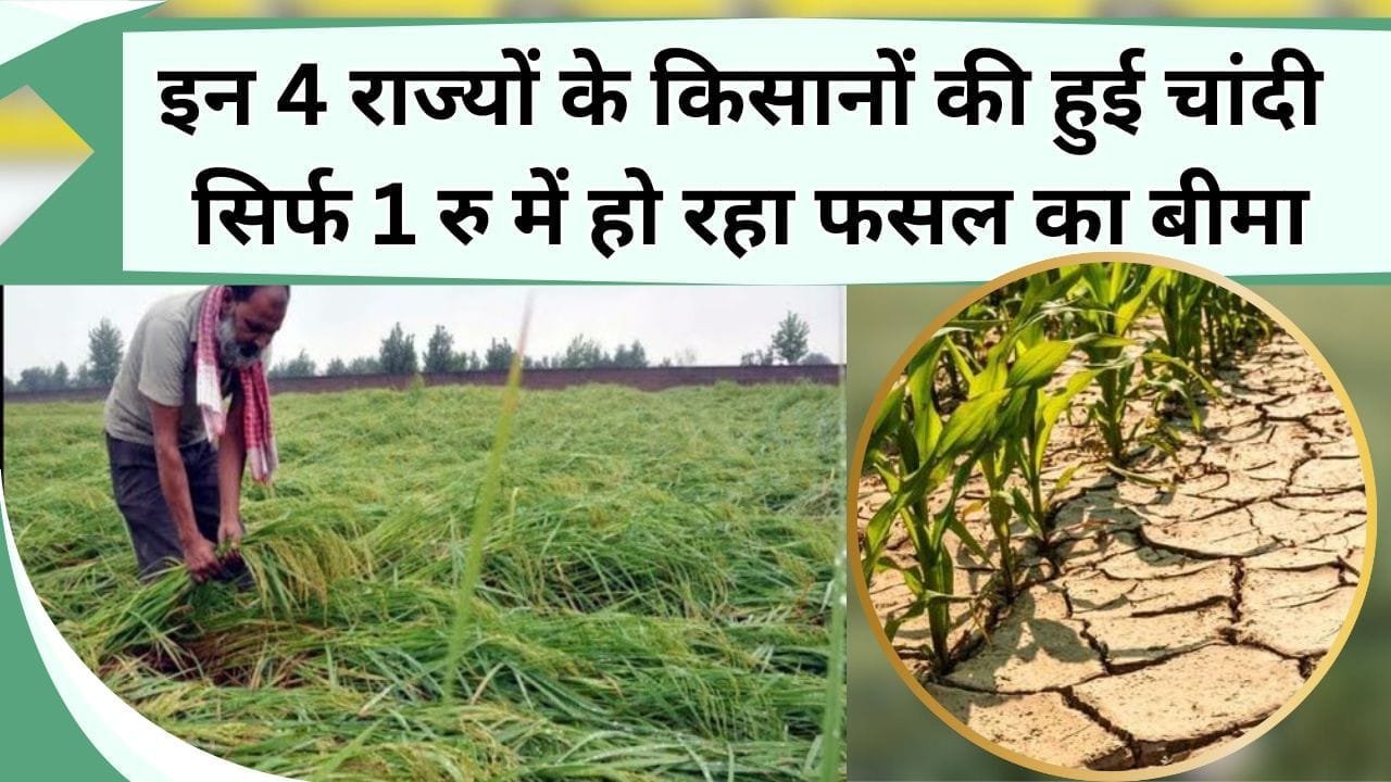 किसान भाई सिर्फ 1 रु देके कराएं फसल का बीमा, उपज मिले या हो नुकसान नहीं होगा घाटा, इन 4 राज्यों के किसान उठायें लाभ