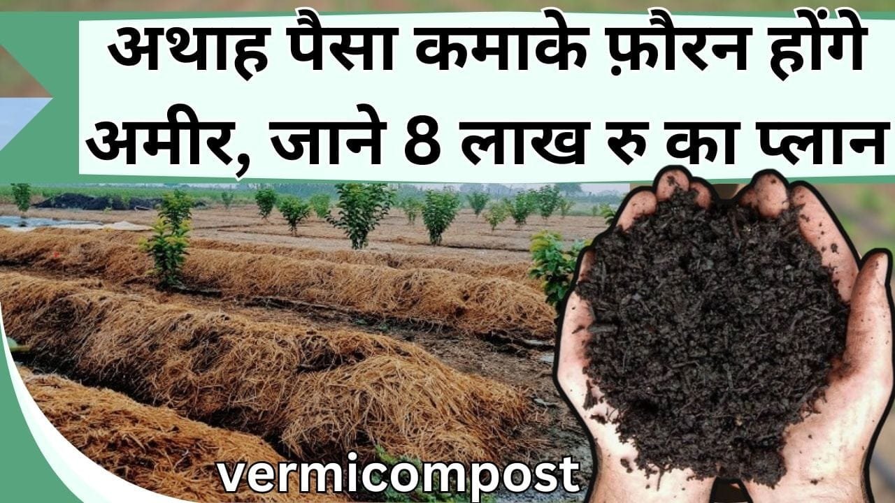 अथाह पैसा कमाके फ़ौरन होंगे अमीर, केंचुआ खाद की दिन-ब-दिन बढ़ रही डिमांड, इतने दिन में 8 लाख रु आएंगे, जानिये पूरा प्लान