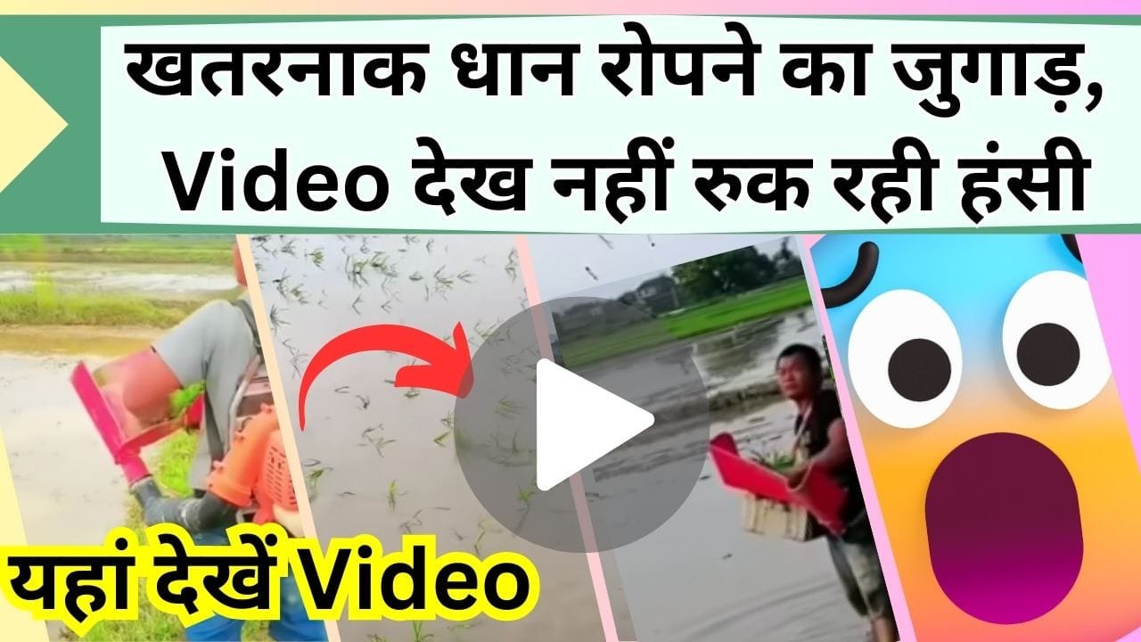 खतरनाक धान रोपने का जुगाड़, Video देख नहीं रुक रही हंसी, कुछ बोले शुक्रिया भाई, अब फटाफट लगाऊंगा मै भी धान