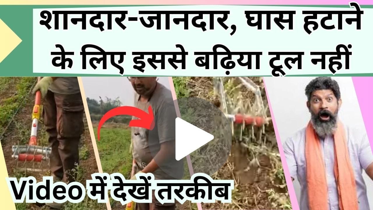शानदार-जानदार, घास हटाने के लिए इससे बढ़िया मशीन और क्या होगी, Video में देखें मिनटों में खरपतवार हटाने की तरकीब