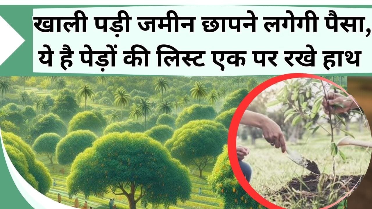 खाली पड़ी जमीन छापने लगेगी पैसा, ये है पेड़ों की लिस्ट एक पर रखे हाथ और खेत में कर दें ये काम
