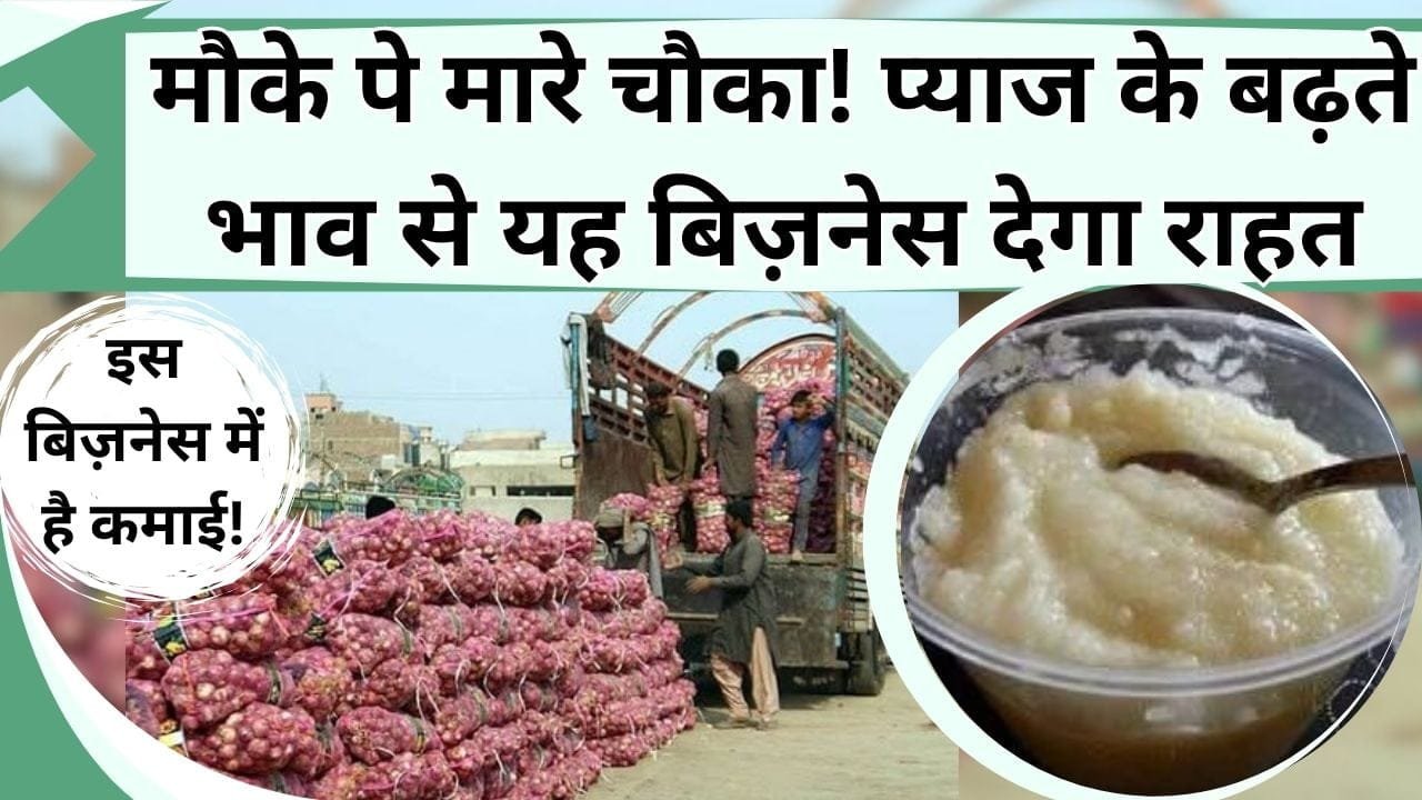 मौके पे मारे चौका! इस बिज़नेस में है कमाई, प्याज के बढ़ते भाव से यह बिज़नेस देगा राहत, जानिये लागत और कमाई