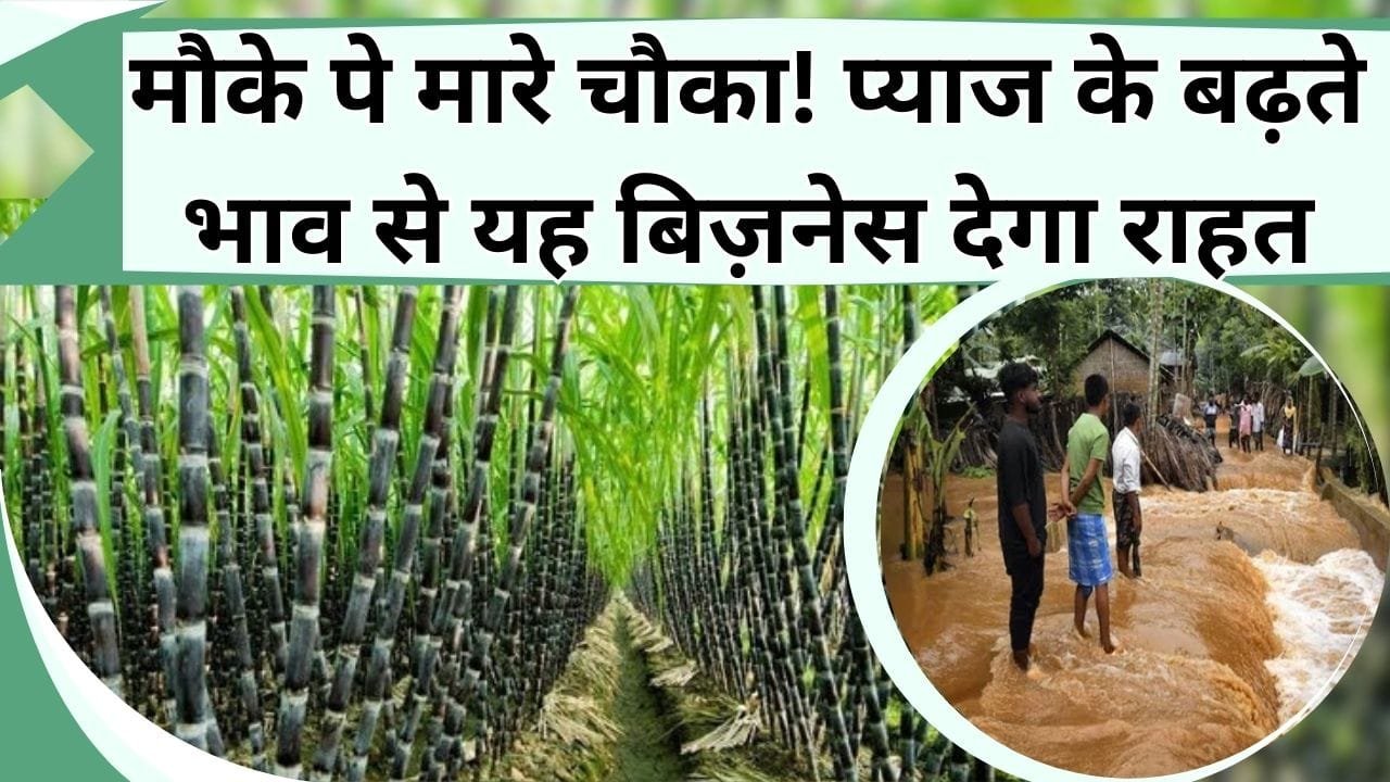 डूबी नैया होगी पार! इन गन्ना किसानों के खाते में सरकार डालेगी पैसा, जानिये किन किसानों होगा फायदा