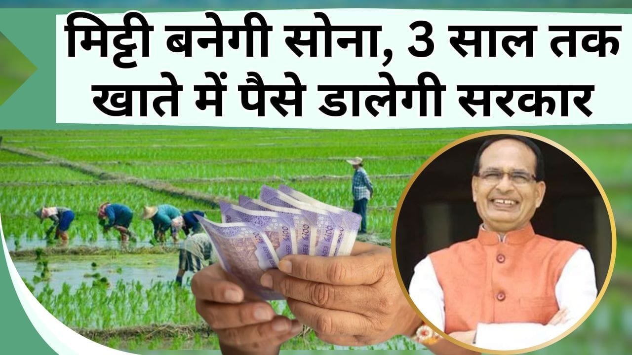 मिट्टी बनेगी सोना, 3 साल तक खाते में पैसे डालेगी सरकार, सेहत में होगा सुधार, जानिये कृषि मंत्री का फैसला