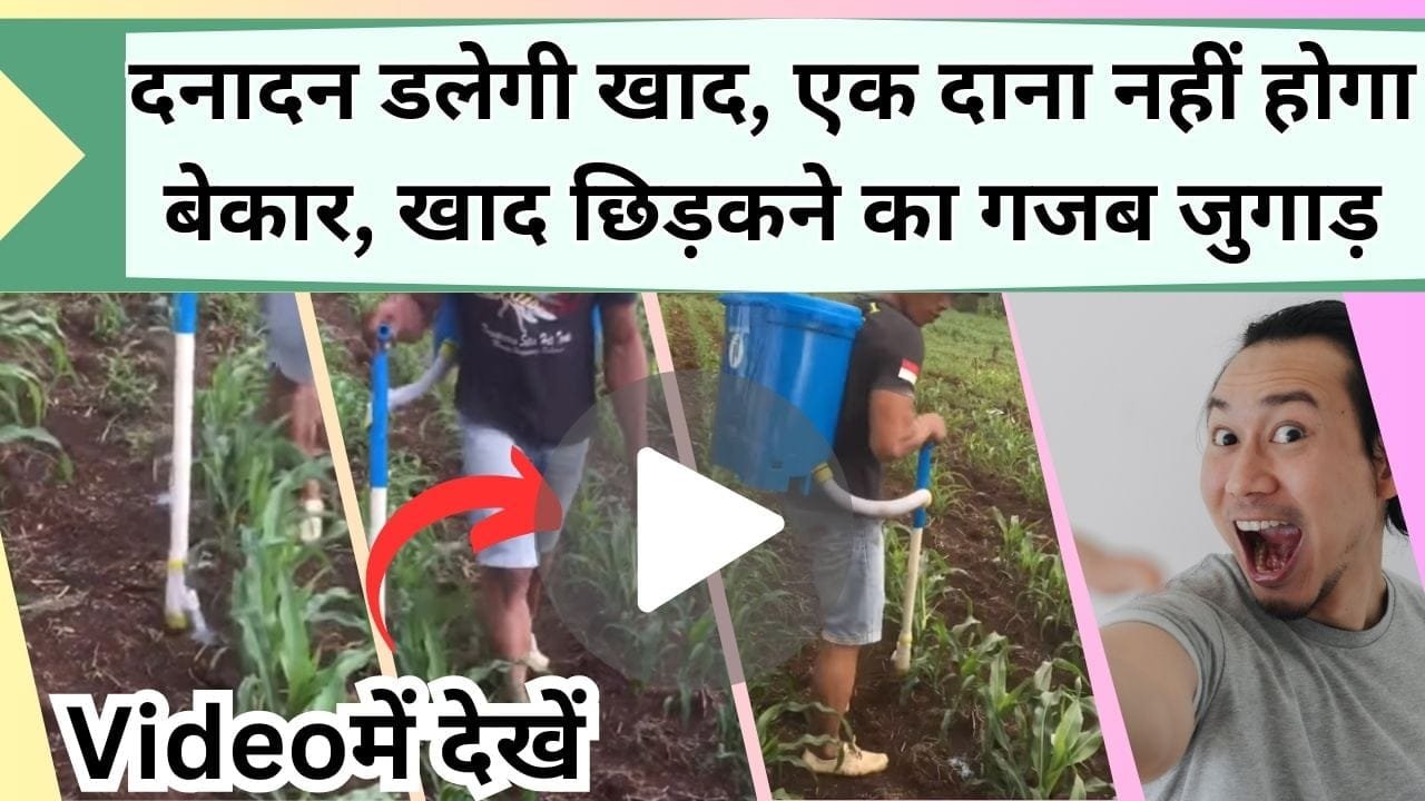 दनादन डलेगी खाद, एक दाना नहीं होगा बेकार, ऐसा जुगाड़ Video देख बन जाएगा दिन, देखिये खाद छिड़कने का सरल उपाय