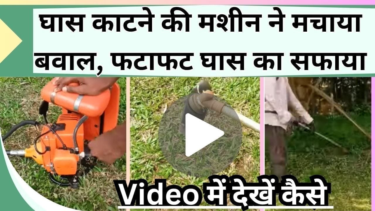 घास काटने की मशीन ने मचाया बवाल, Video में देखें कैसे घास का सफाया फटाफट कर रही मशीन