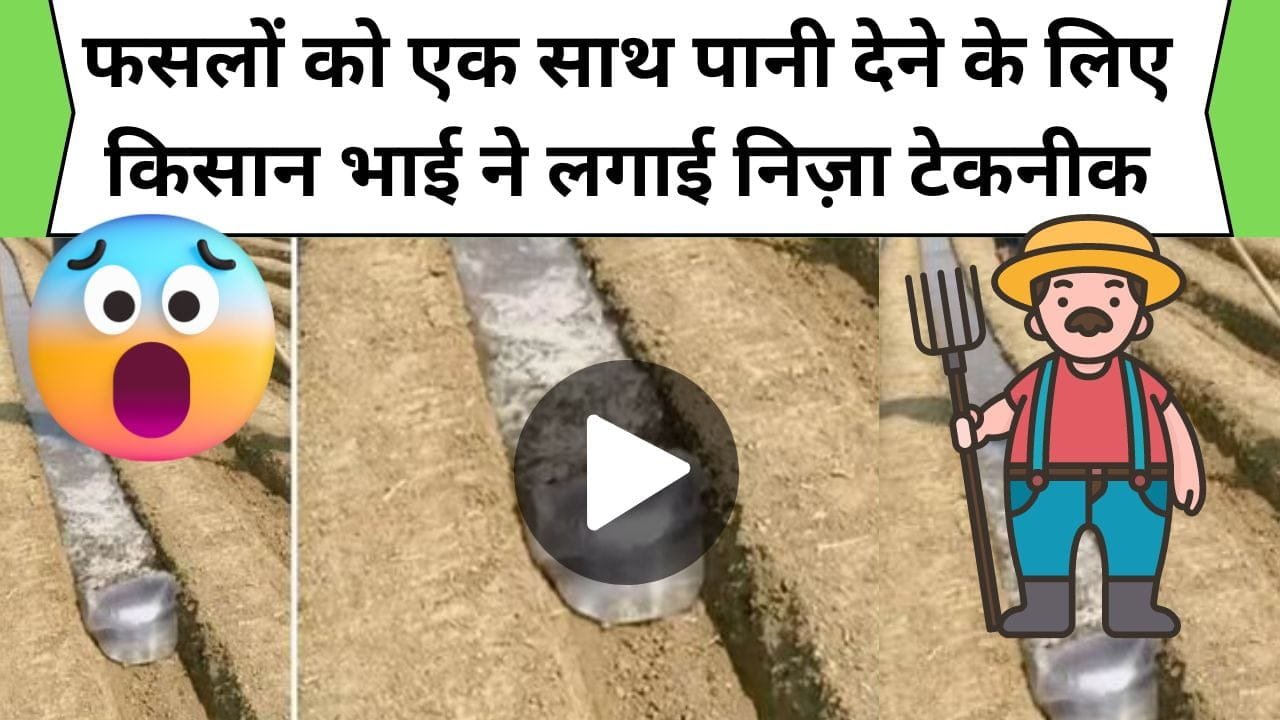 Jugaad Video