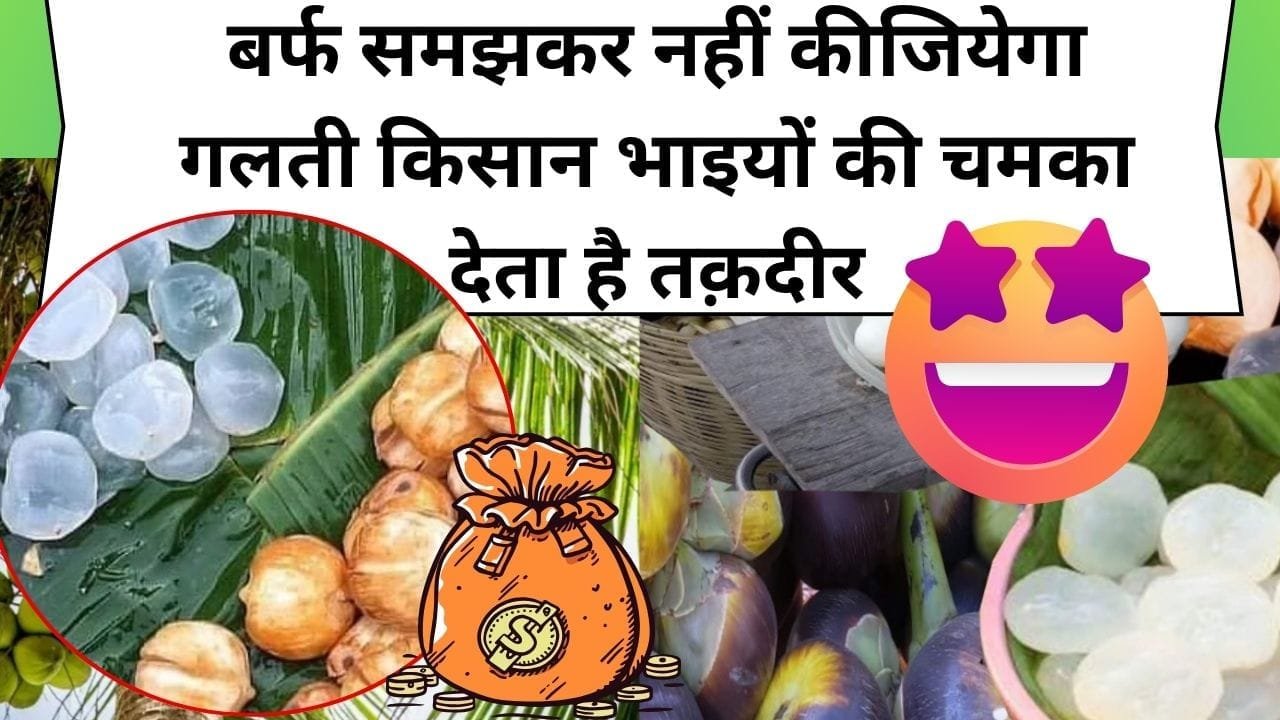 बर्फ समझकर नहीं कीजियेगा गलती