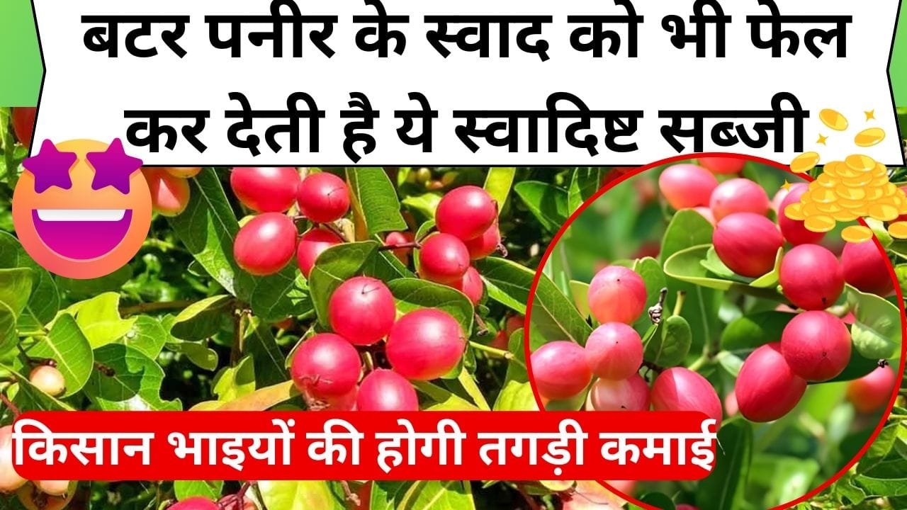 बटर पनीर के स्वाद को भी फेल कर देती है ये स्वादिष्ट सब्जी