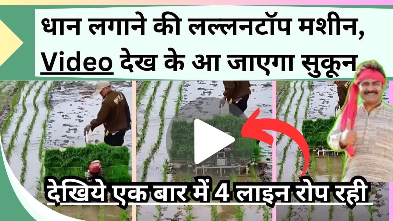 धान लगाने की लल्लनटॉप मशीन, Video देख के आ जाएगा सुकून, एक बार में 4 लाइनों में हो रही रोपाई, गजब का है नजारा