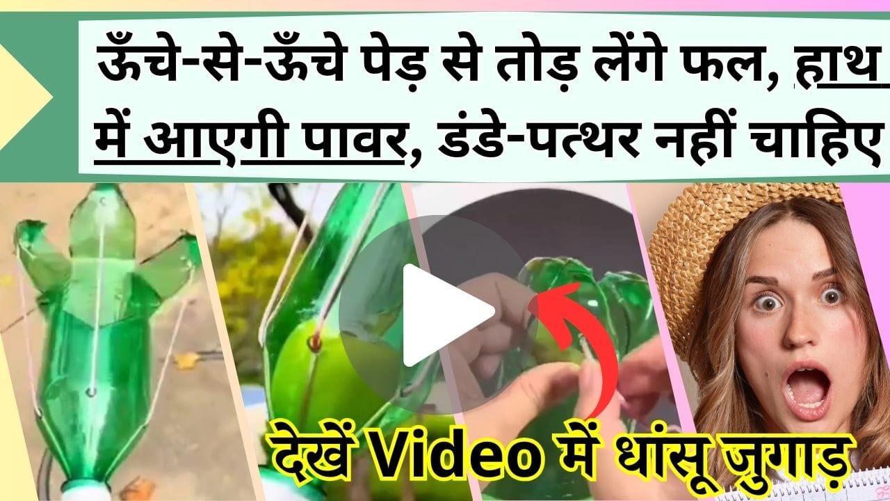 बिना डंडा और पत्थर के आम-अमरुद जैसे फल तोड़ने का जुगाड़ देख हो जायेंगे मजे, देखें Video में तगड़ा उपाय