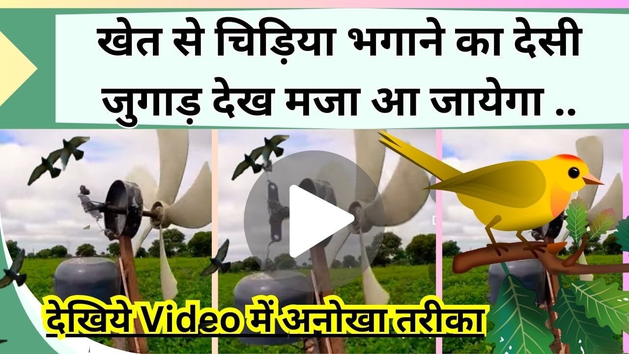 खेत से चिड़िया भगाने का देसी जुगाड़ देख रह जाएंगे दंग, कई किसान कर रहे इस्तेमाल, Video में देखें कितने काम का है
