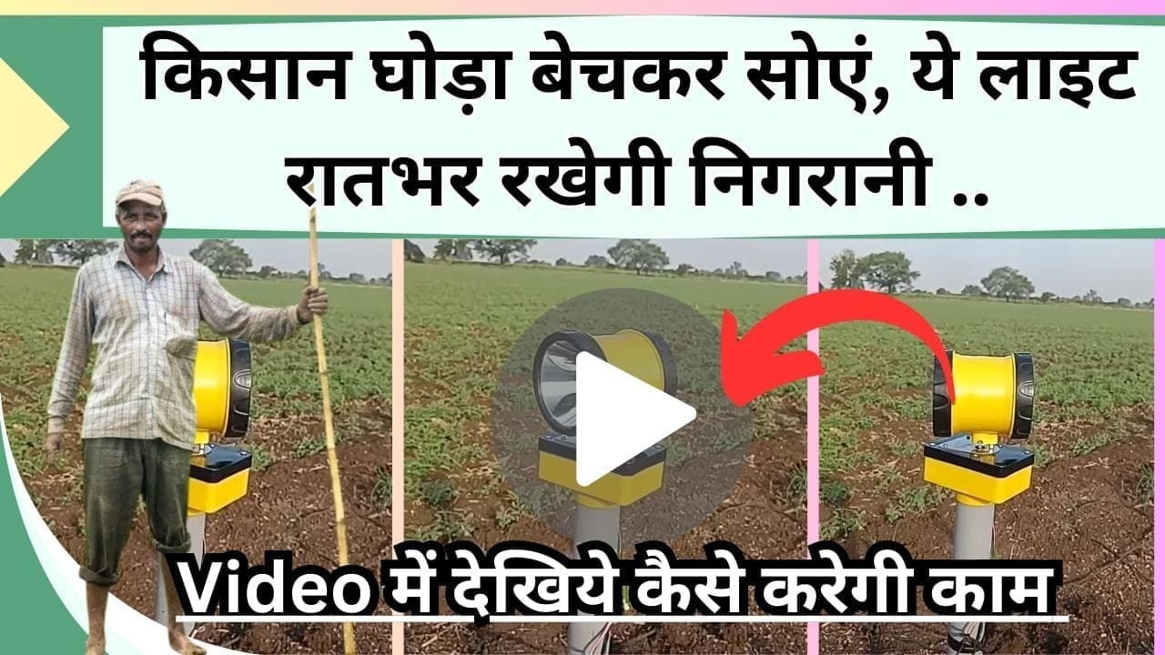 किसान घोड़ा बेचकर सोएं, ये लाइट रातभर रखेगी निगरानी, जंगली जानवरों की अब खैर नहीं, Video में देखिये कैसे करेगी काम