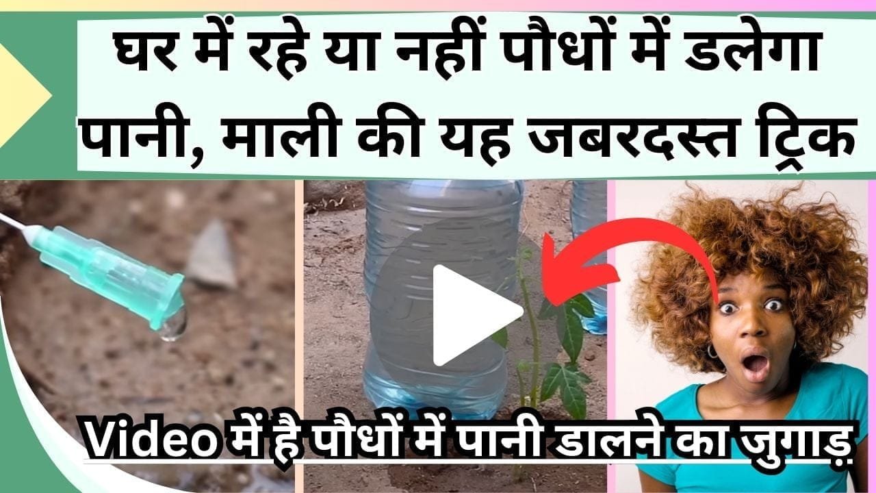 घर में रहे या नहीं पौधों में डलेगा पानी, माली की यह जबरदस्त ट्रिक है कमाल, Video में देखिये पौधों में पानी डालने का जुगाड़