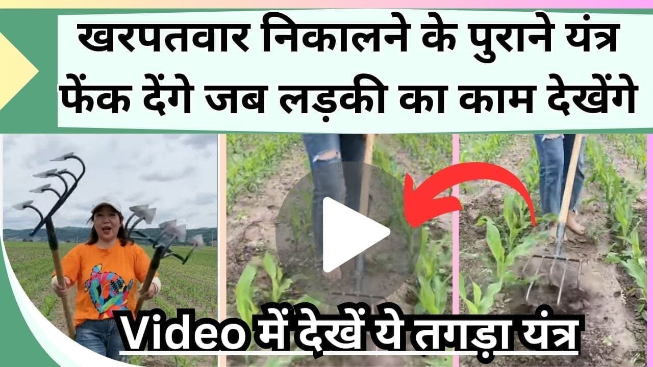 खरपतवार निकालने के पुराने यंत्र फेंक देंगे जब Video में देखेंगे ये तगड़ा जुगाड़, लड़की ने कर दिया धमाल