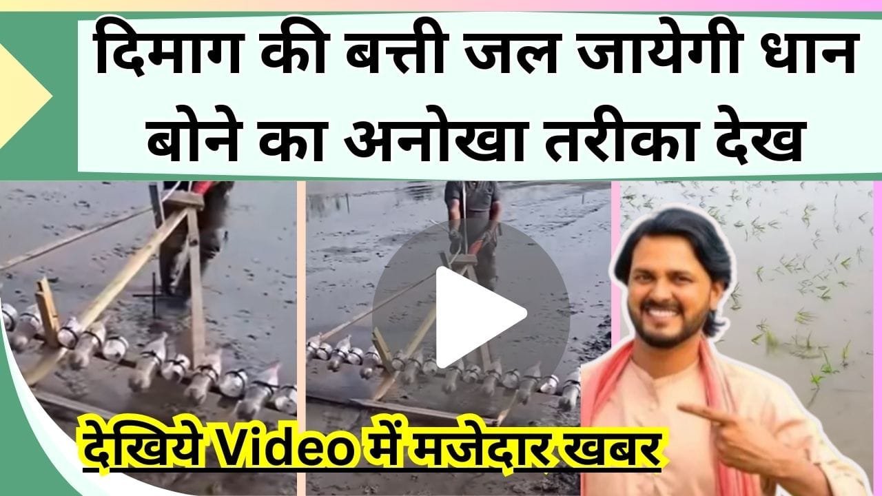 दिमाग की बत्ती जल जायेगी धान बोने का अनोखा तरीका देख, मिनटों में पूरे खेत में हो रही बुवाई, देखिये Video में मजेदार खबर